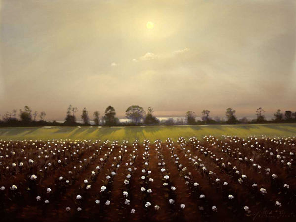 Parhelia: Cotton Field - Matthew Hasty