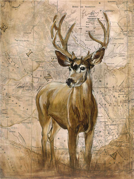 Native Spirit 1 - Elizabeth Hope